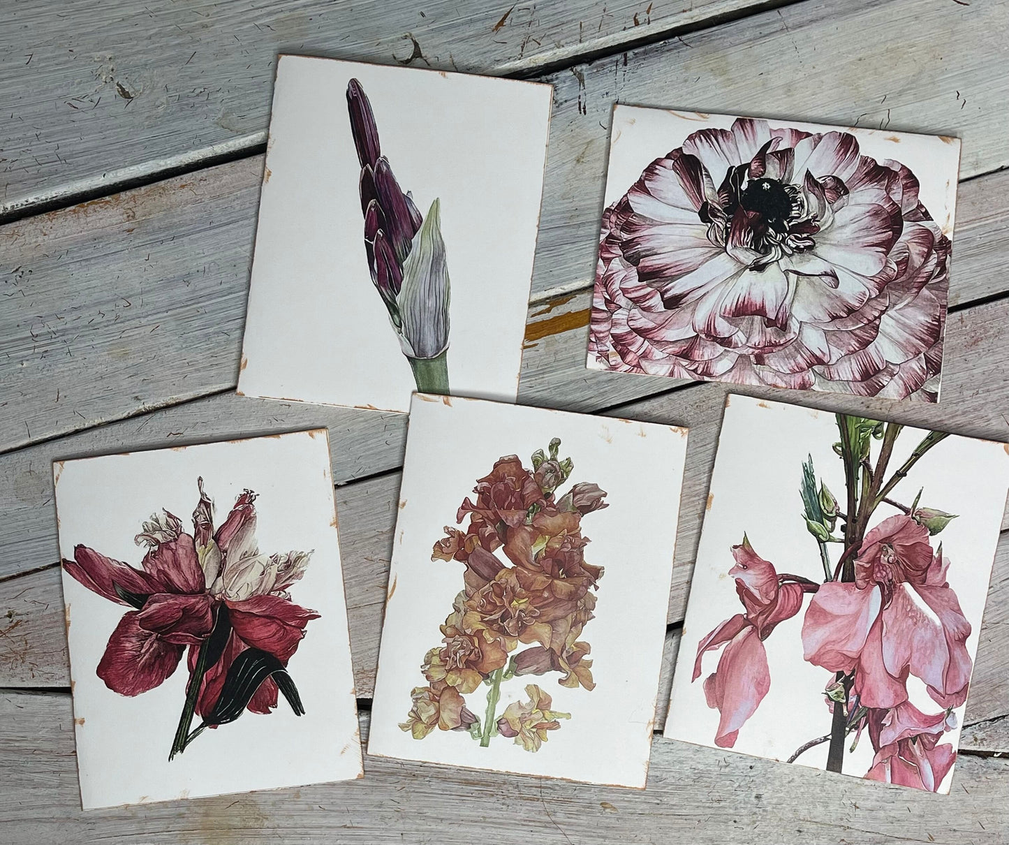 Botanical Watercolor Notecard set #1 "GRANDMA'S GARDEN"
