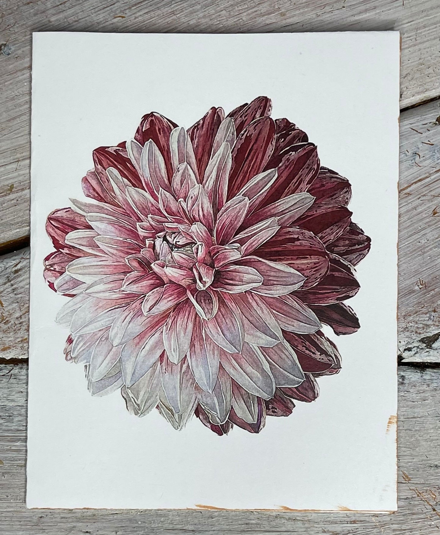 Botanical Watercolor Notecards set #4 "DANCING MIDNIGHT" dahlias