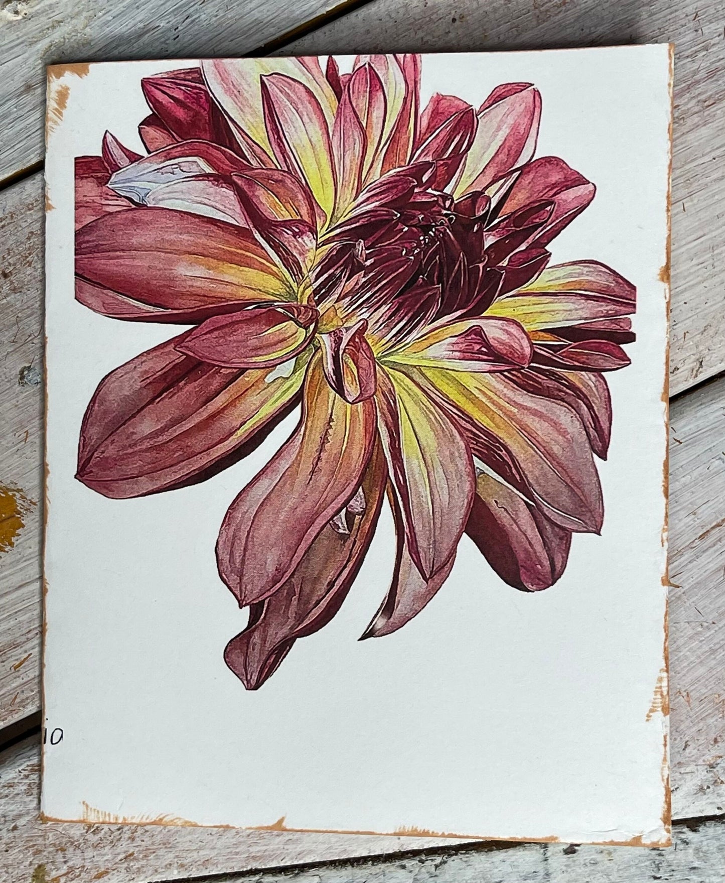 Botanical Watercolor Notecard Set #2 "CANTALOUPE" DAHLIAS