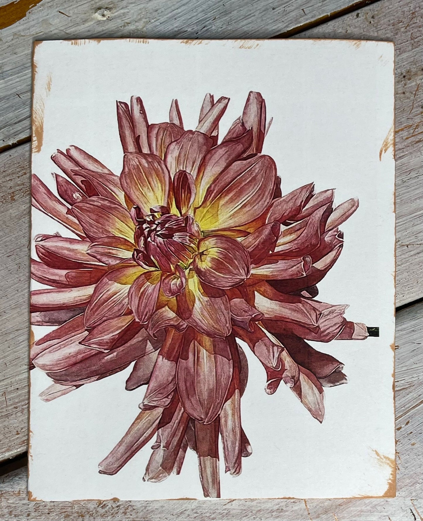 Botanical Watercolor Notecard Set #2 "CANTALOUPE" DAHLIAS