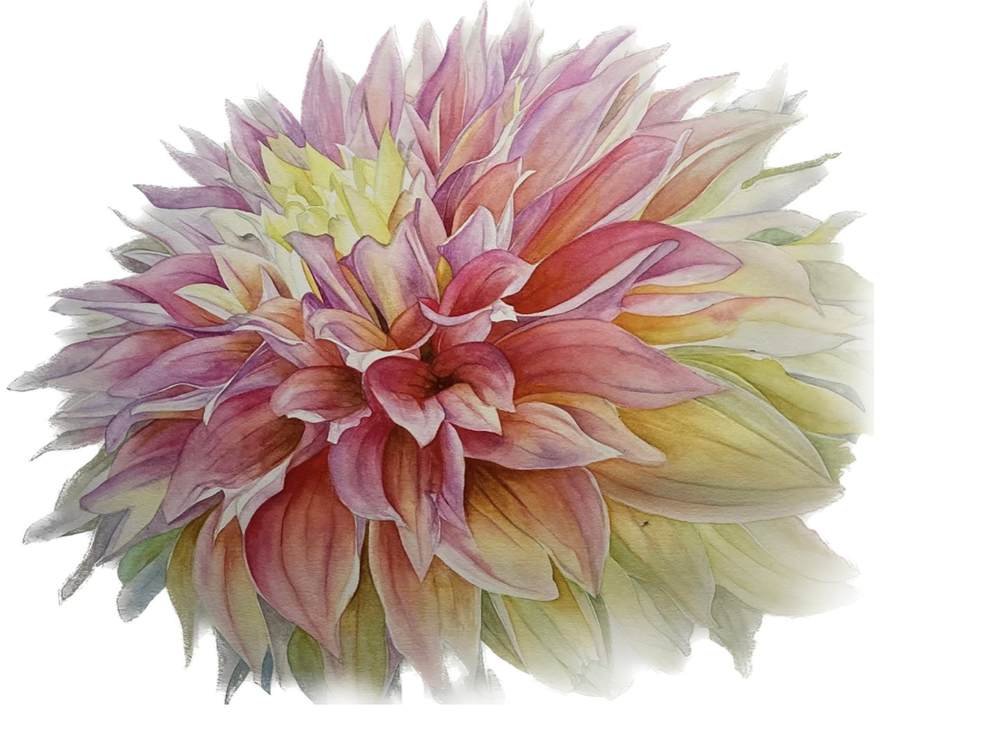 "ADVANCE" dahlia Print Large Tote Bag