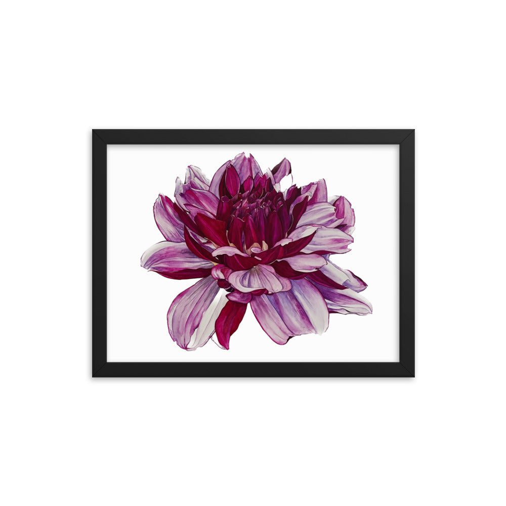 CREME DE CASIS dahlia Framed poster