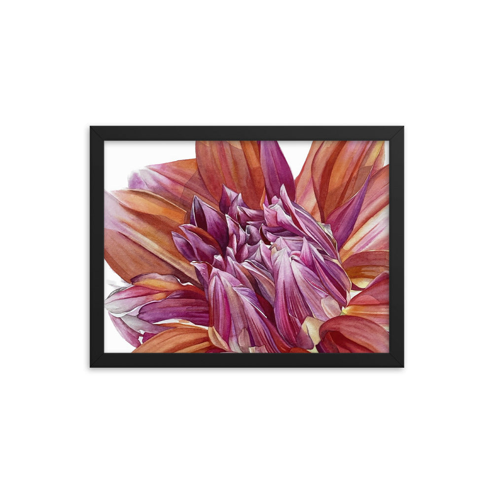 COLOR SPECTACLE dahlia Framed poster