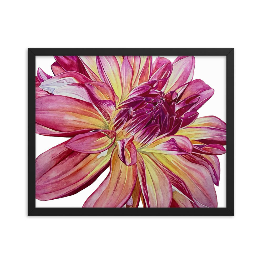 CARIBBEAN FANTASY dahlia Framed poster