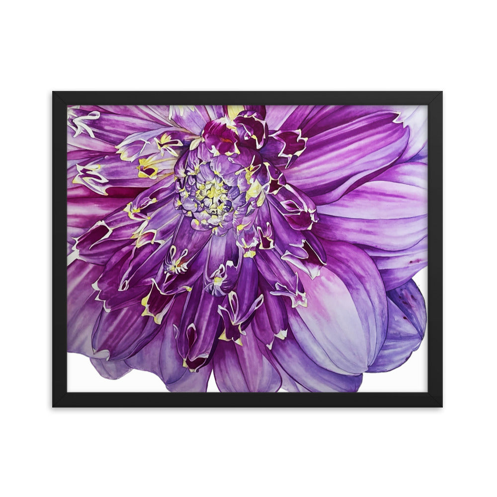 ANEOMONE dahlia Framed poster