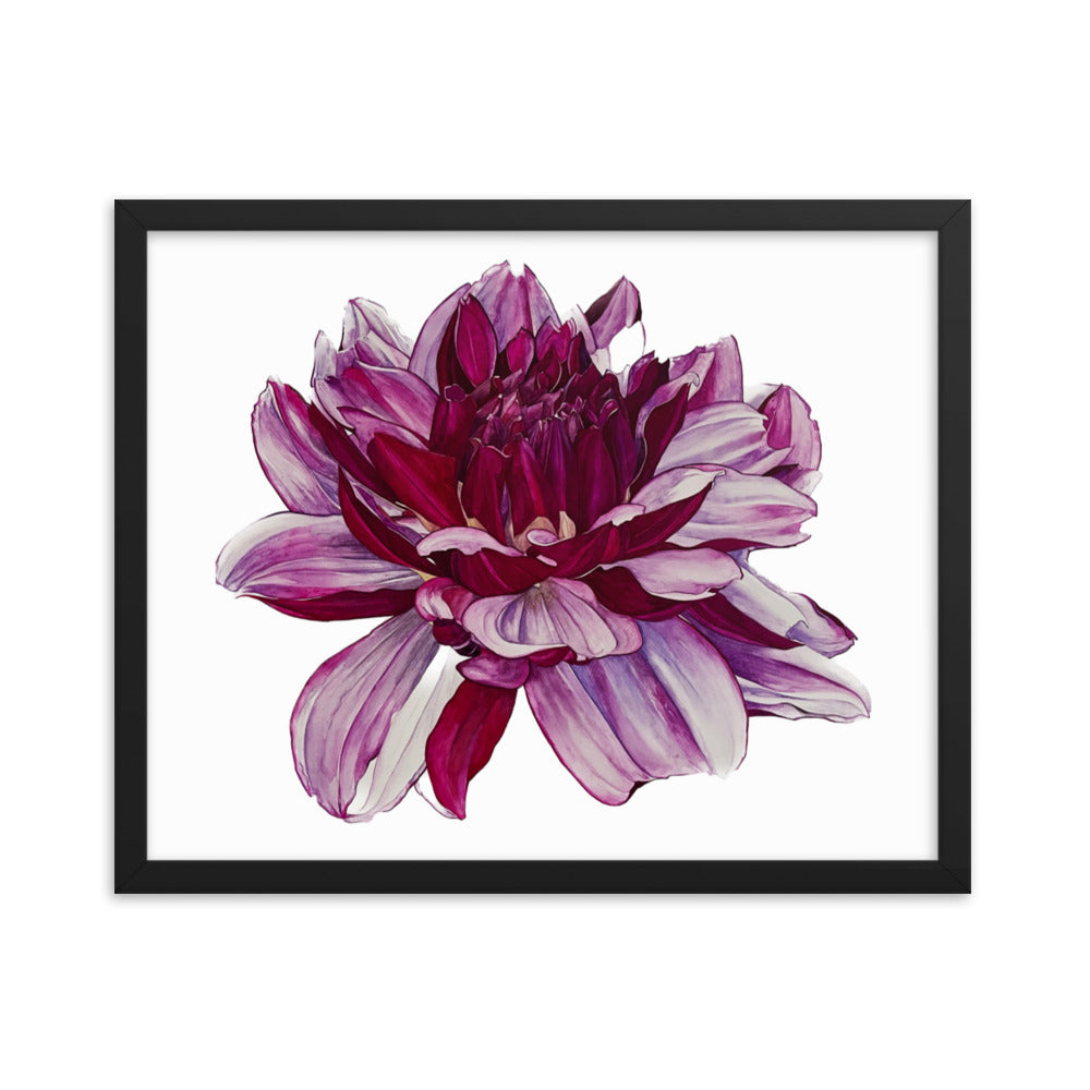 CREME DE CASIS dahlia Framed poster