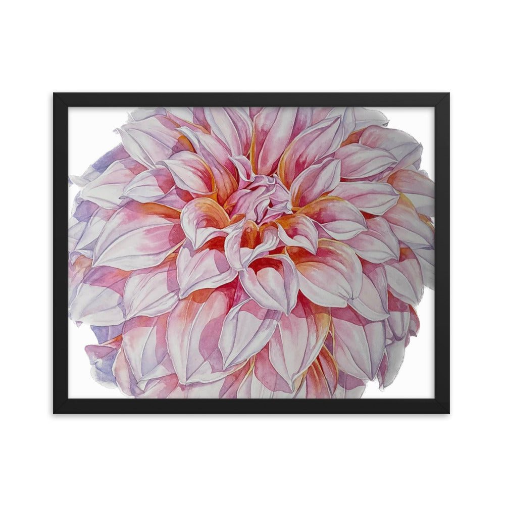 PEACHES dahlia Framed poster