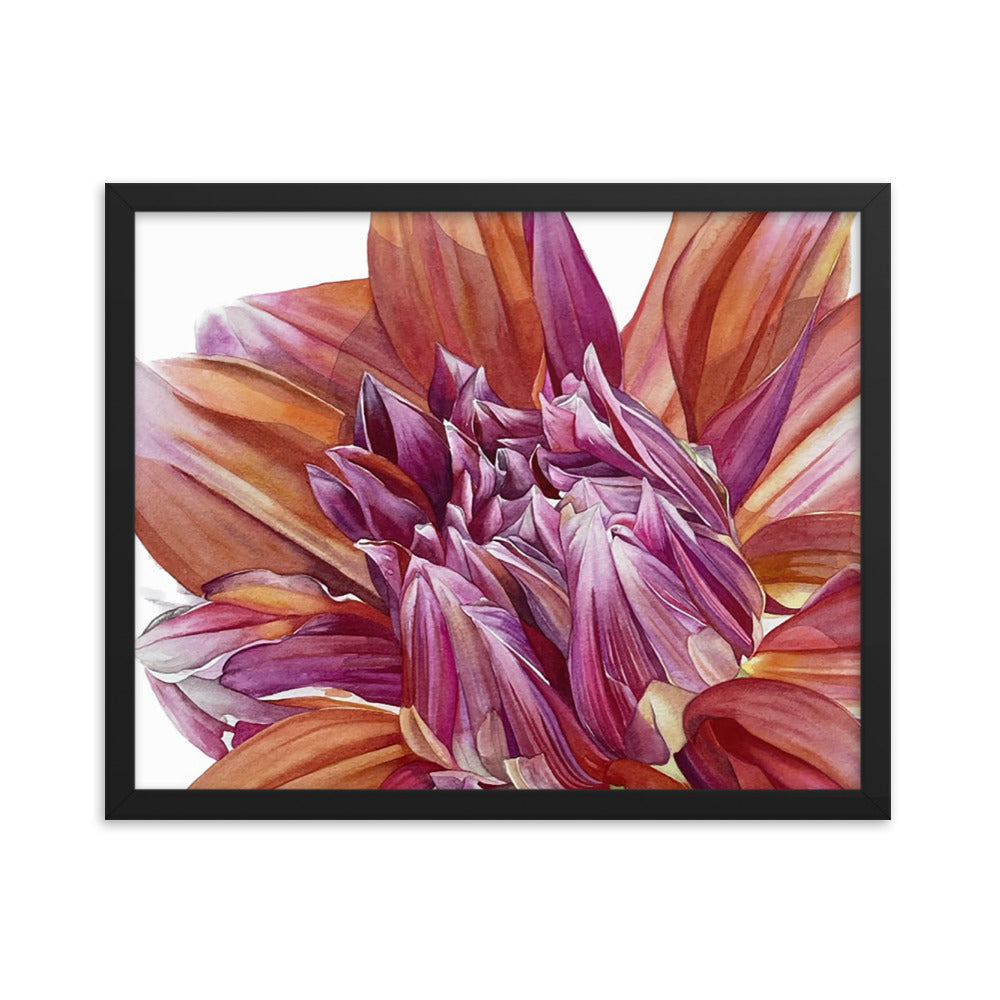 COLOR SPECTACLE dahlia Framed poster