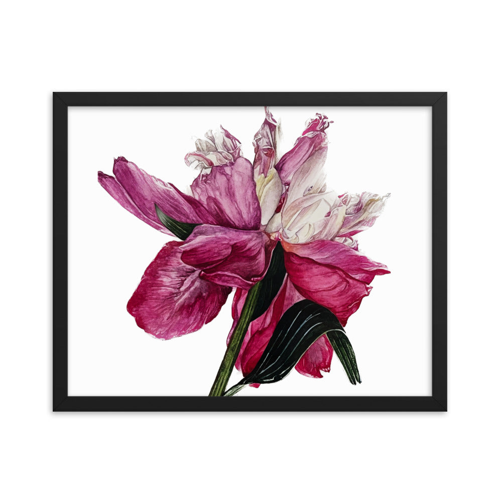PEONY Framed poster