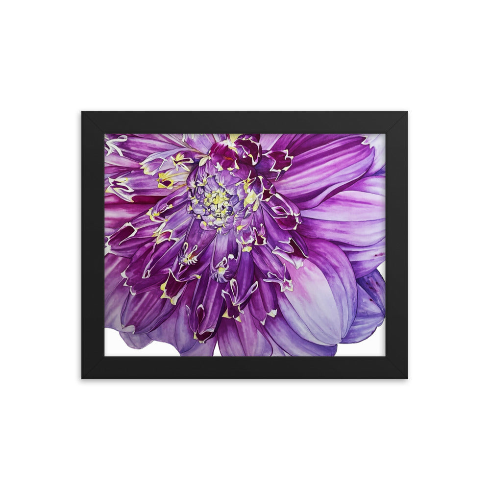 ANEOMONE dahlia Framed poster