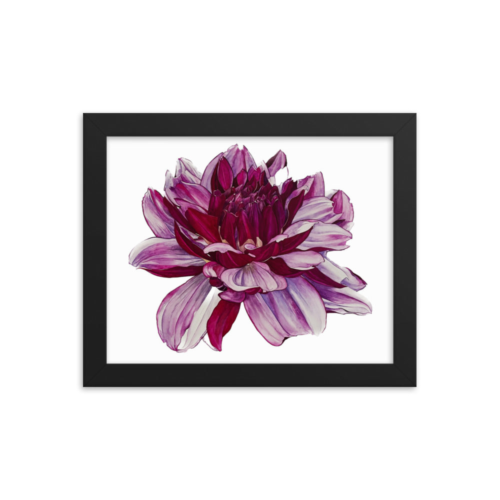 CREME DE CASIS dahlia Framed poster