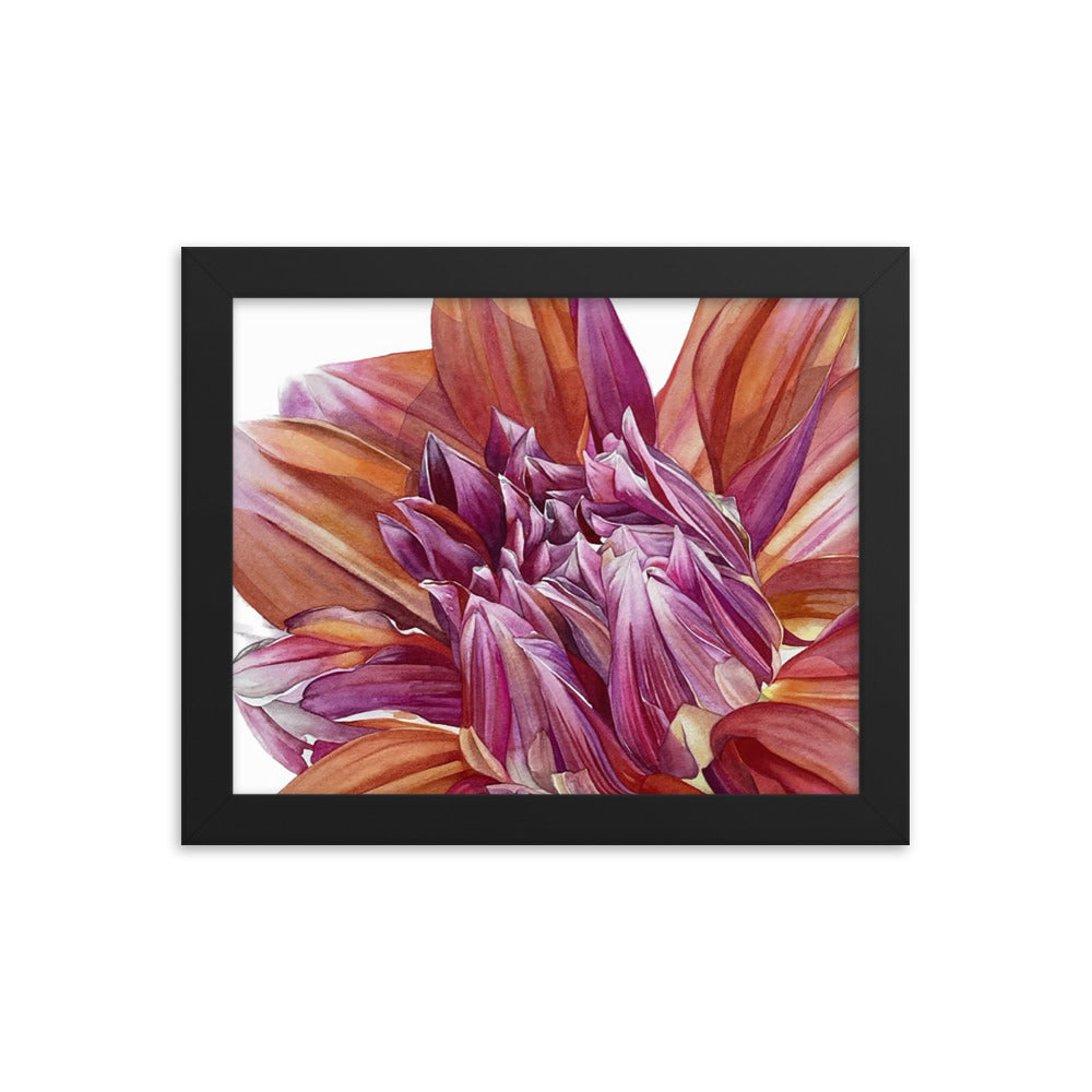 COLOR SPECTACLE dahlia Framed poster