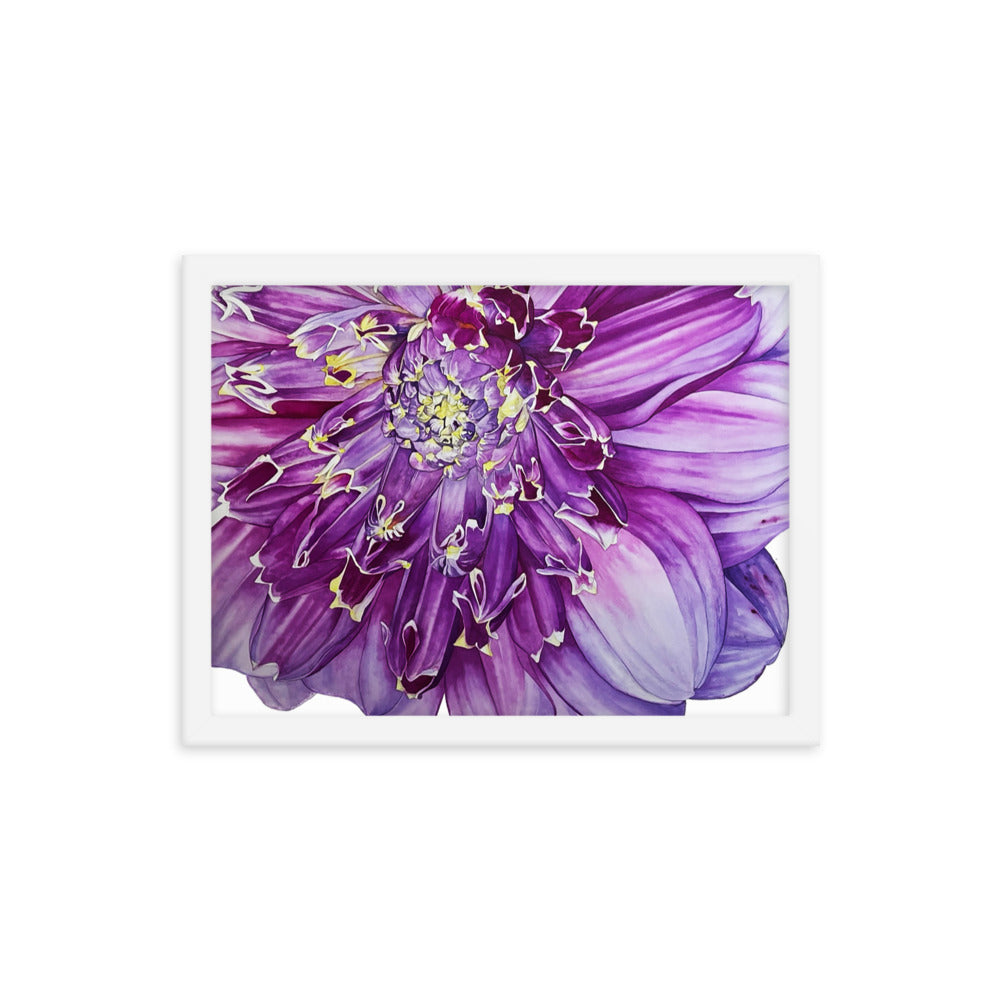 ANEOMONE dahlia Framed poster