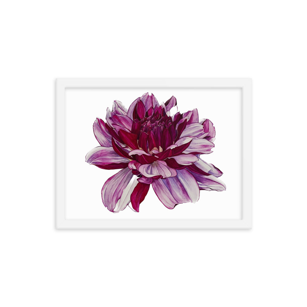 CREME DE CASIS dahlia Framed poster