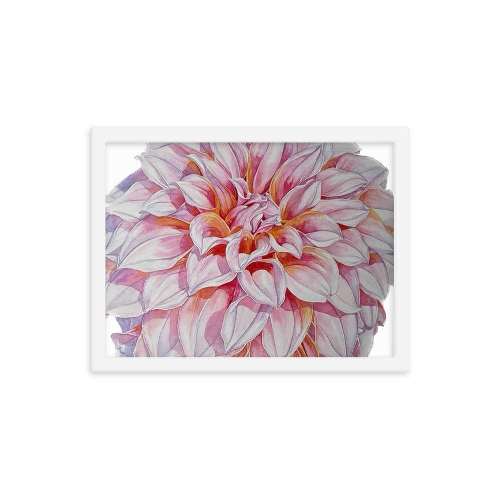 PEACHES dahlia Framed poster