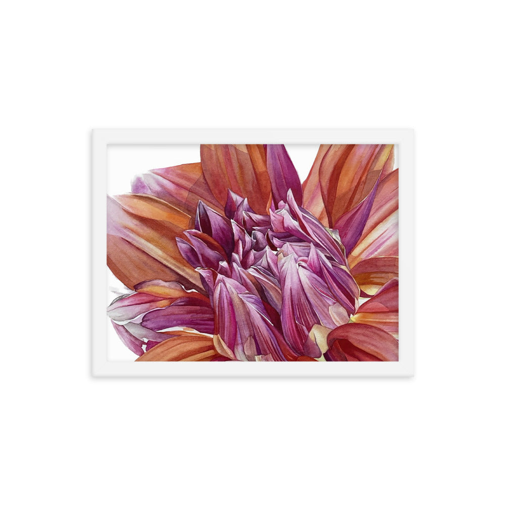 COLOR SPECTACLE dahlia Framed poster