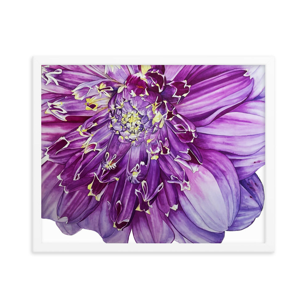ANEOMONE dahlia Framed poster