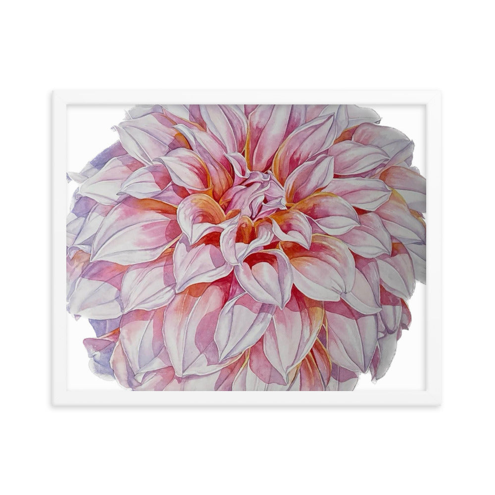 PEACHES dahlia Framed poster