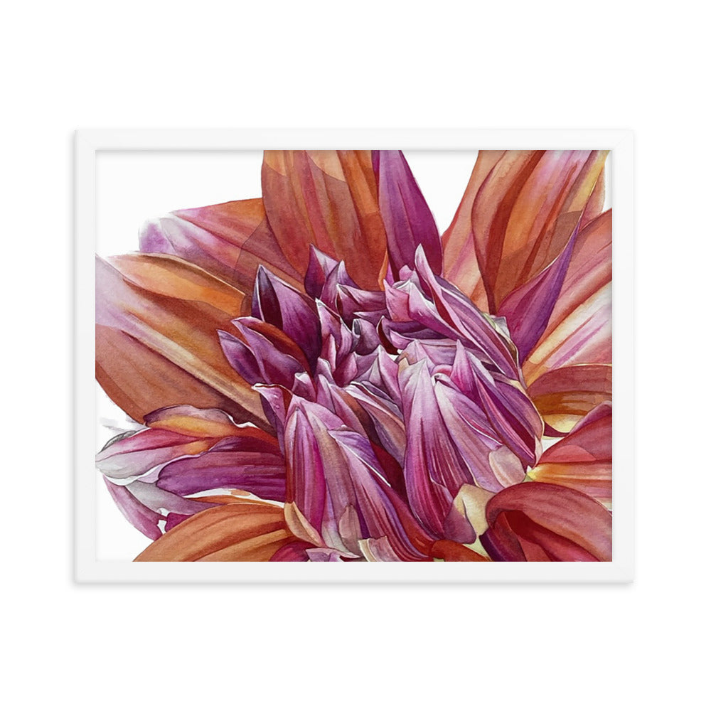 COLOR SPECTACLE dahlia Framed poster