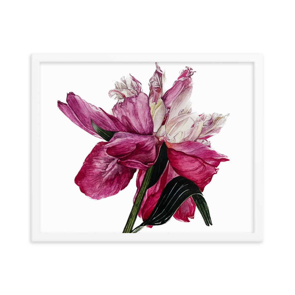 PEONY Framed poster