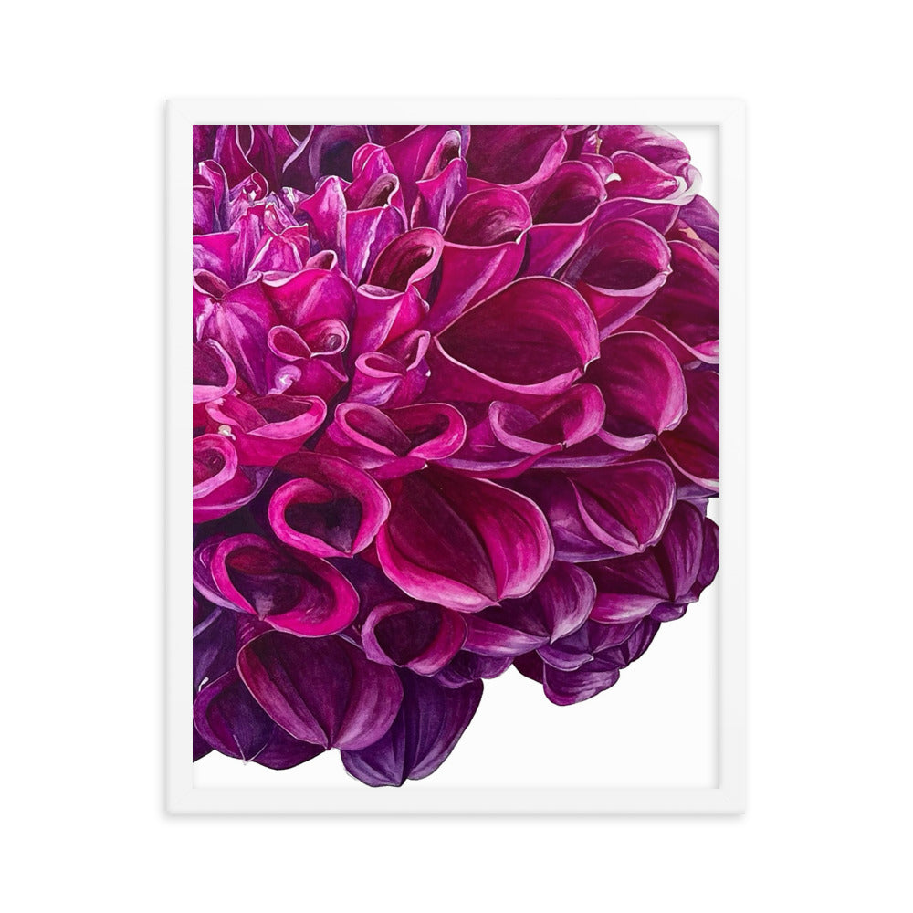 PURPLE BALL dahlia Framed poster