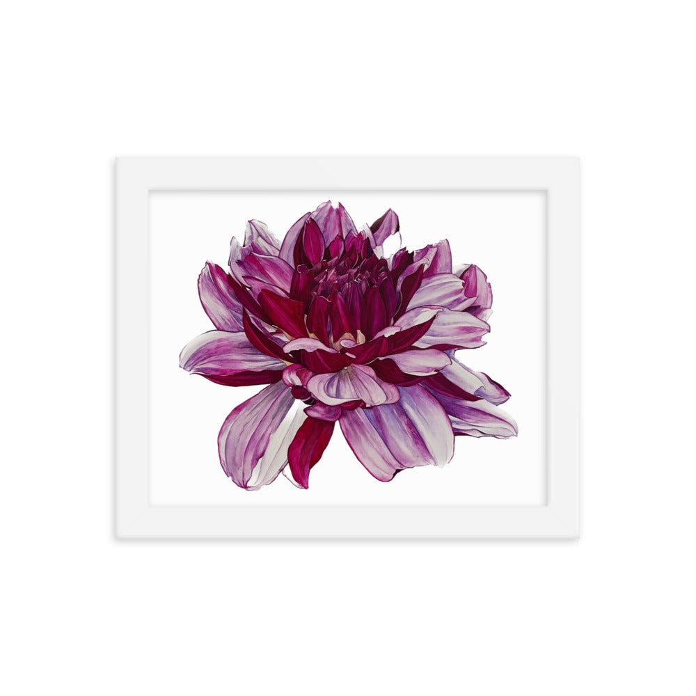 CREME DE CASIS dahlia Framed poster