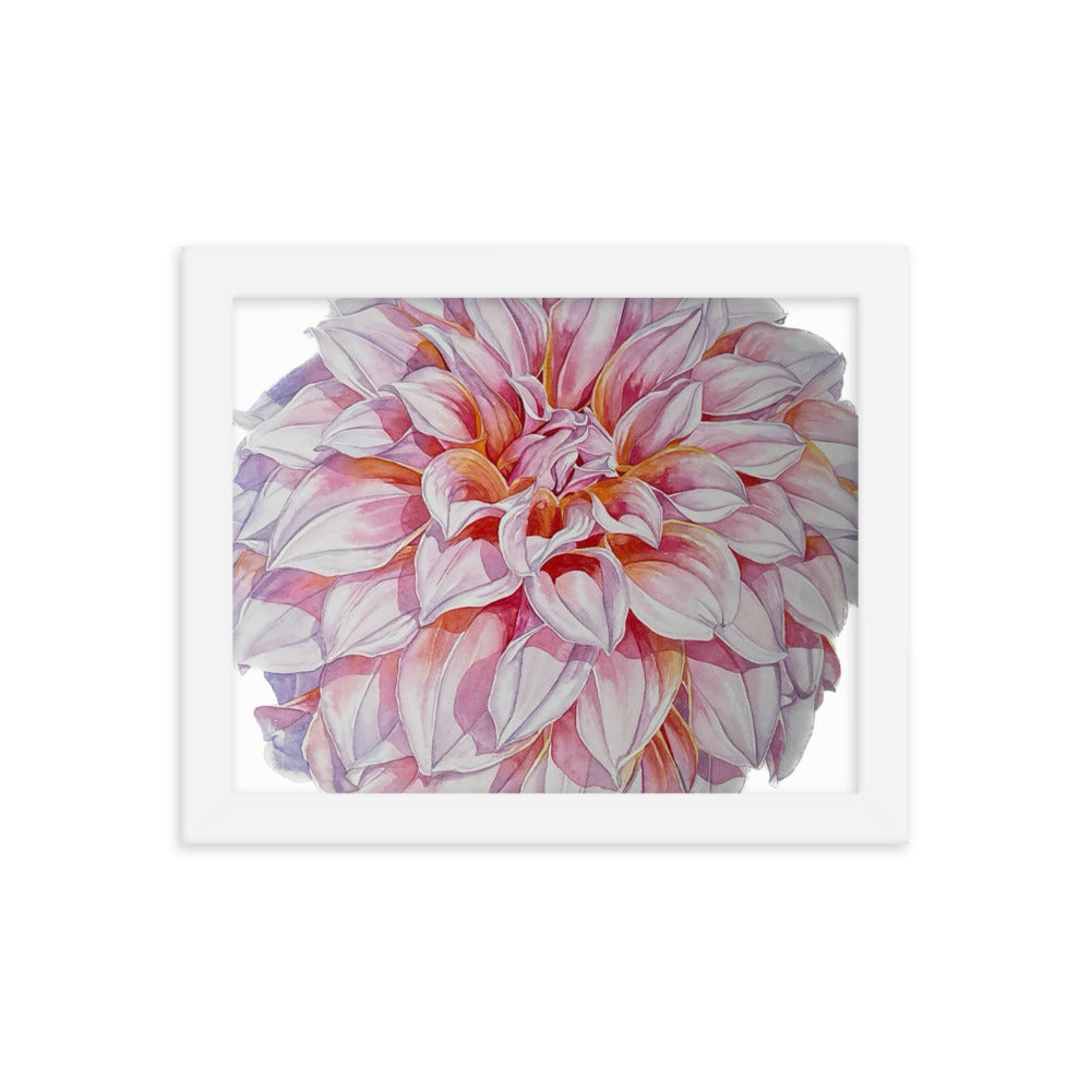 PEACHES dahlia Framed poster