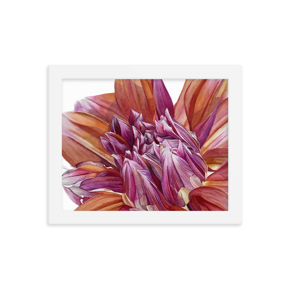 COLOR SPECTACLE dahlia Framed poster