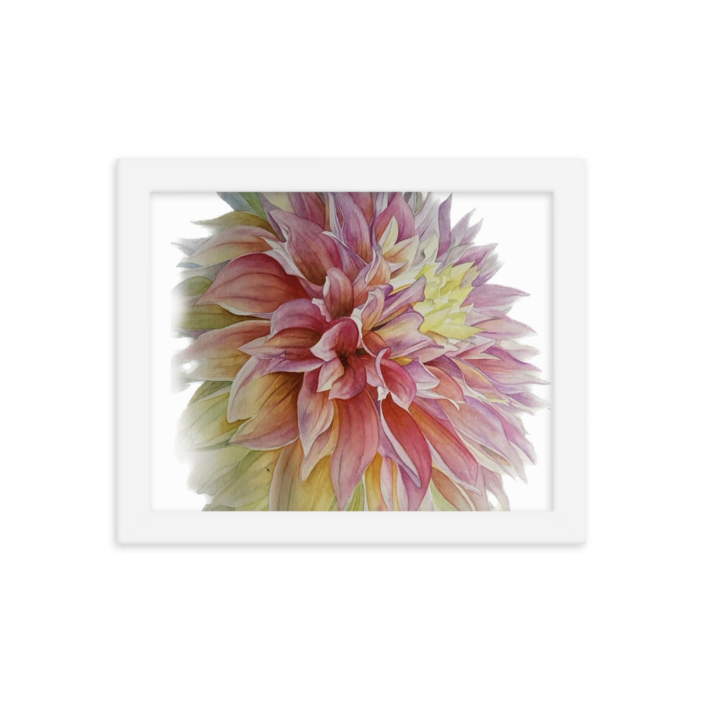 ADVANCE dahlia Framed poster
