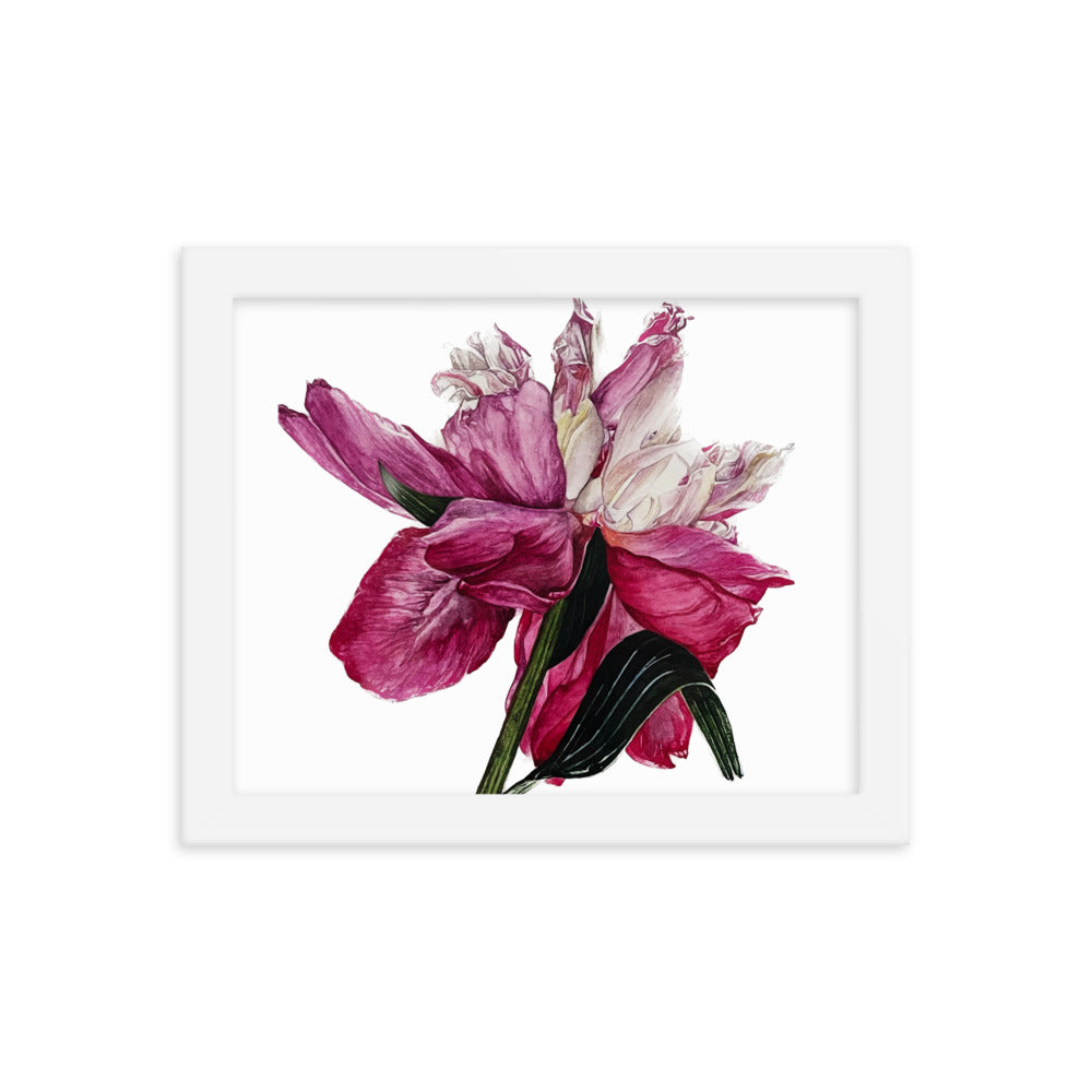 PEONY Framed poster