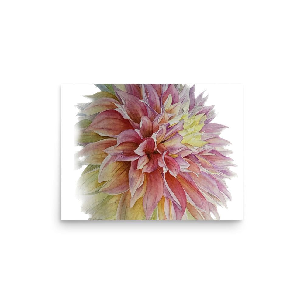 ADVANCE dahlia Poster