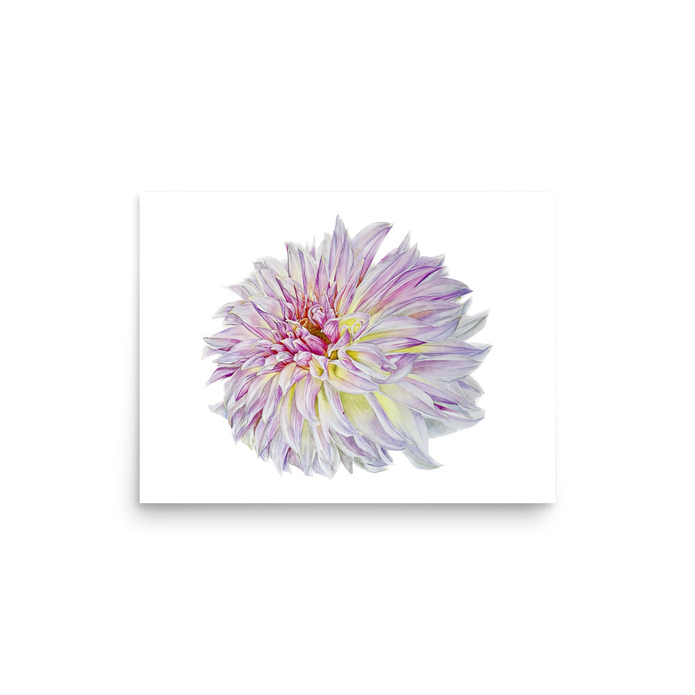 KA'S CHAMPAGNE dahlia Poster