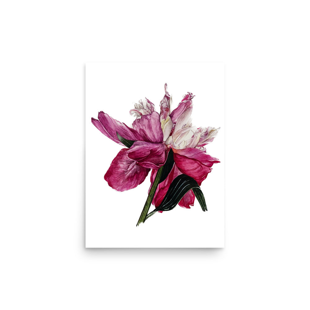 PEONY Poster