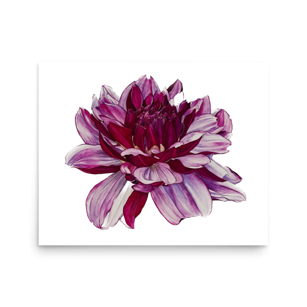 CREME DE CASIS dahlia Poster