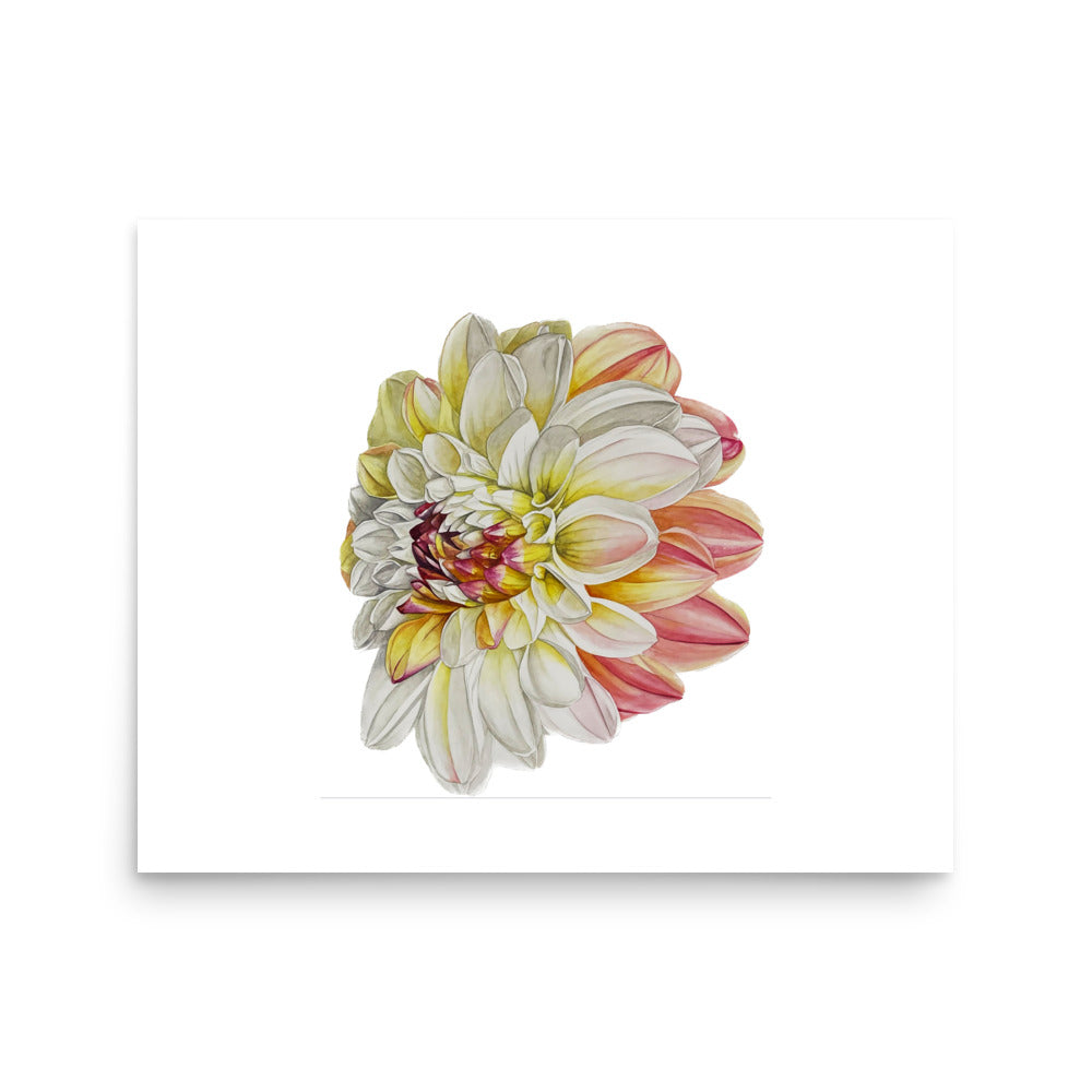 DOUBLE JILL dahlia Poster