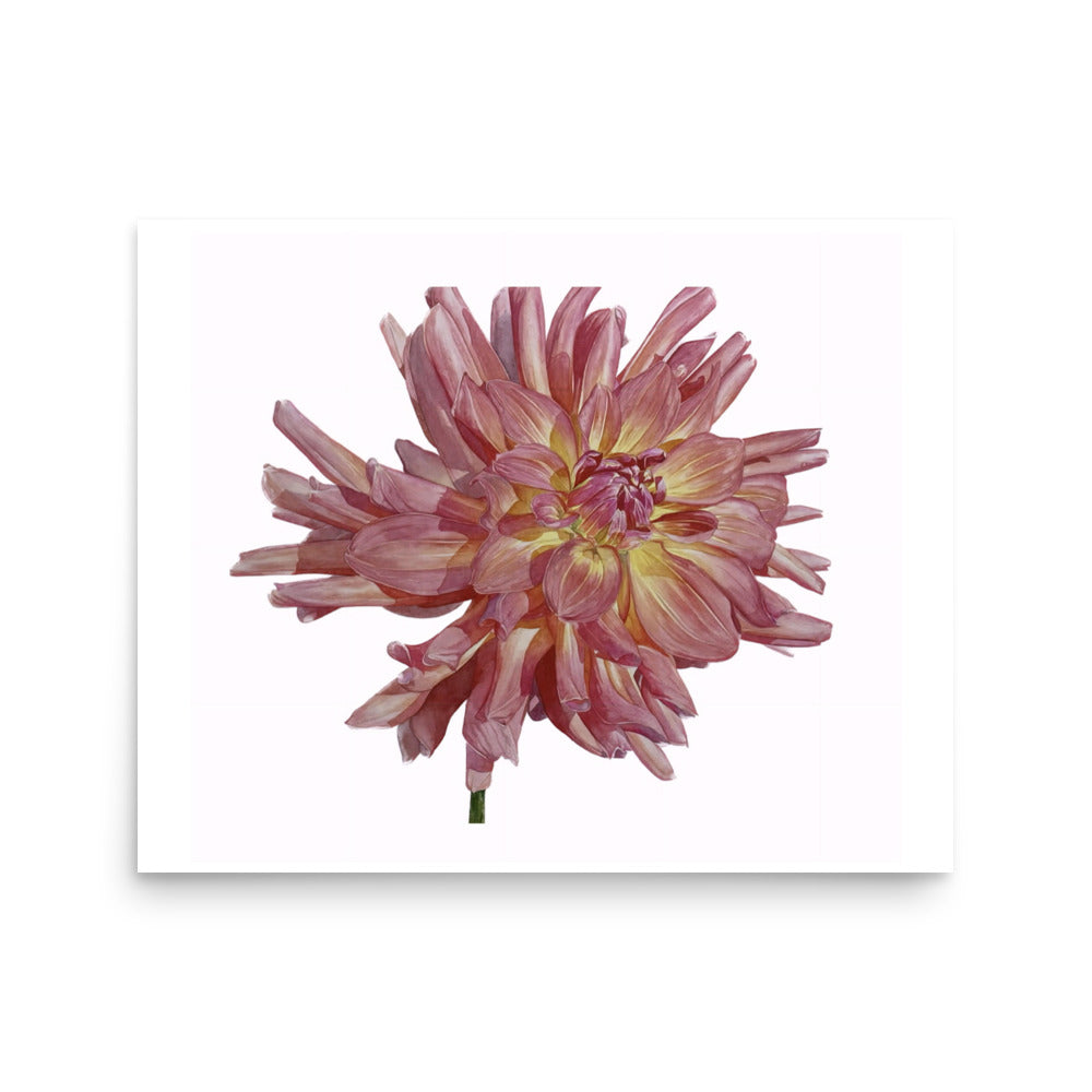 SALMON dahlia Poster