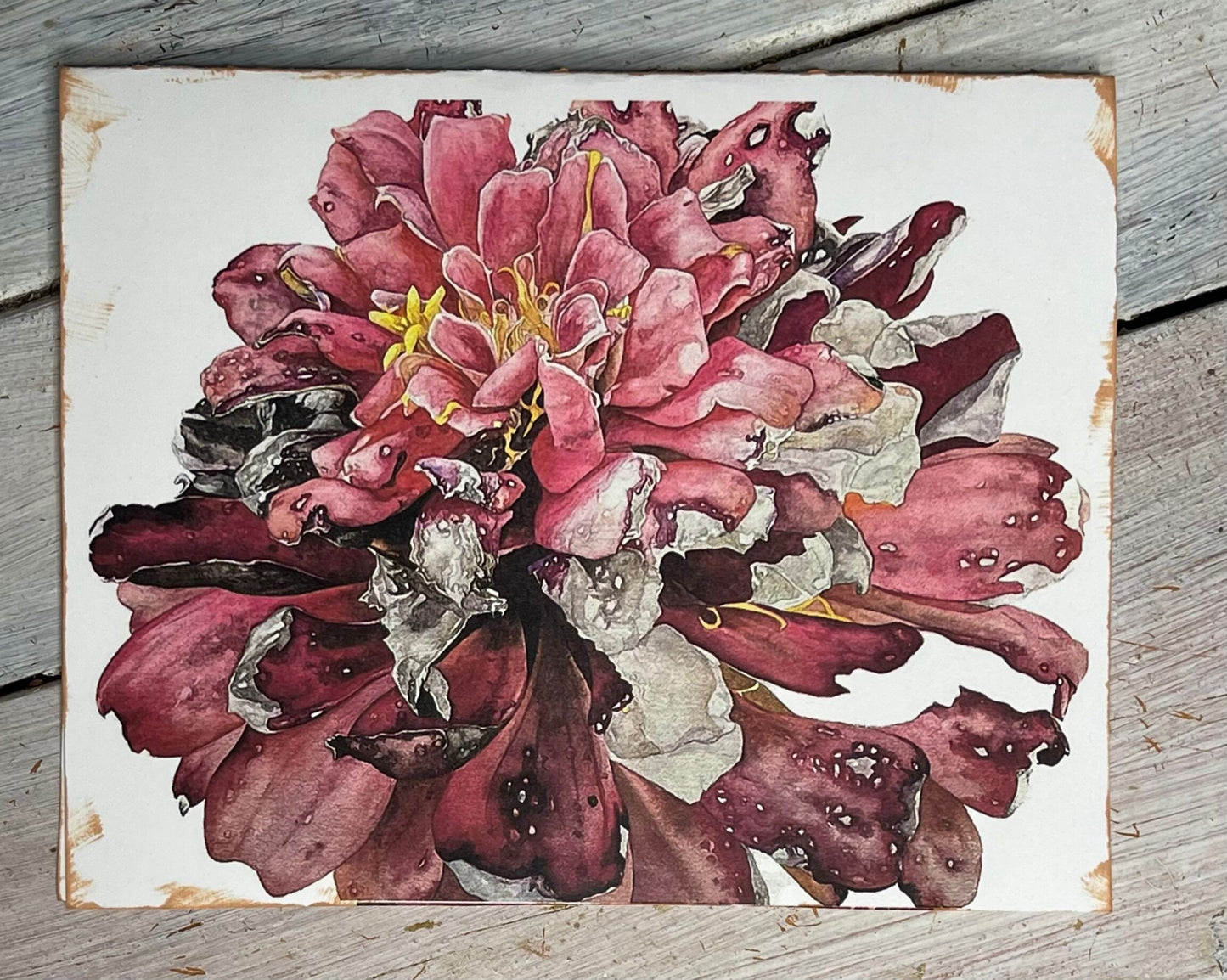 Botanical Watercolor Note Card Set "REMEMBRANCE AND AFFECTION" Zinnas