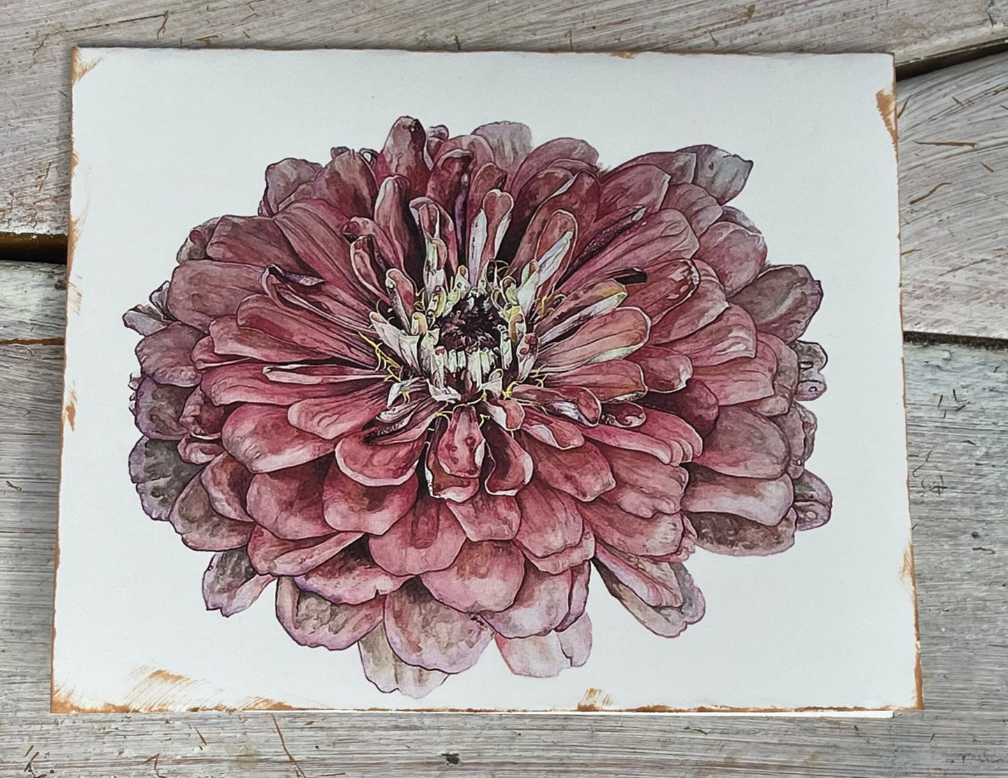 Botanical Watercolor Note Card Set "REMEMBRANCE AND AFFECTION" Zinnas