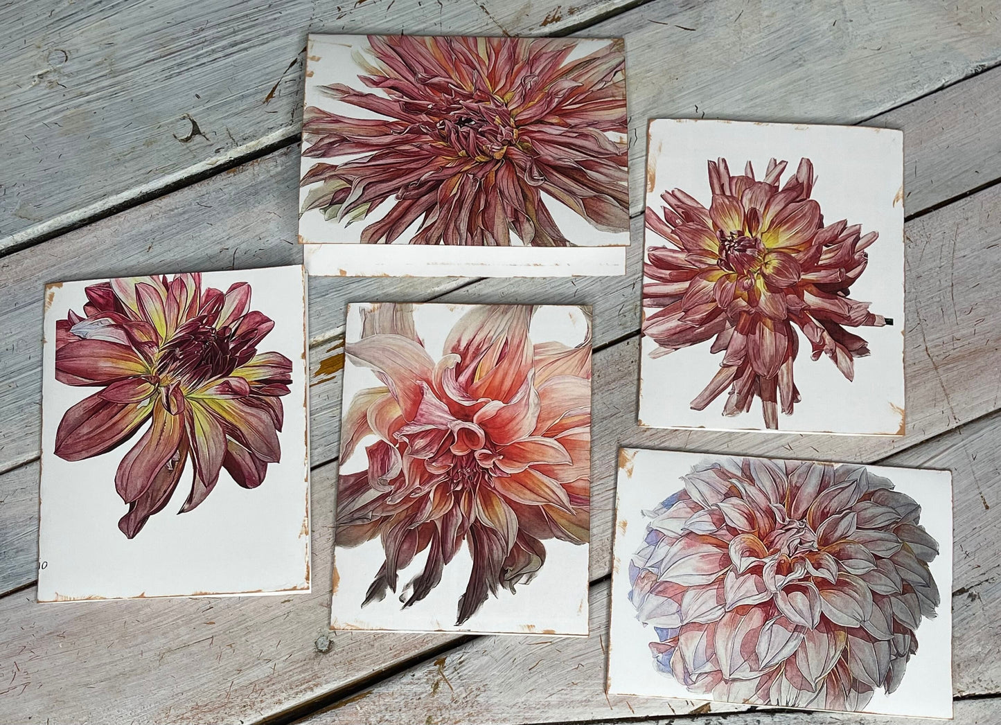 Botanical Watercolor Notecard Set #2 "CANTALOUPE" DAHLIAS