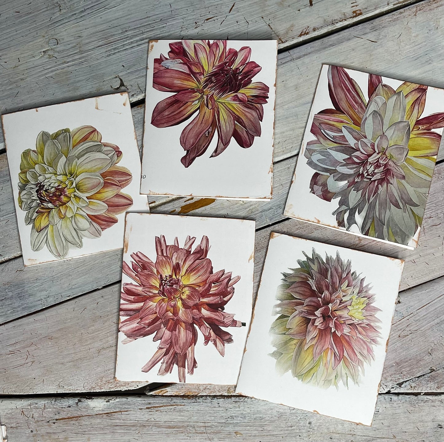 Botanical Watercolor Notecard Set #2 "CANTALOUPE" DAHLIAS