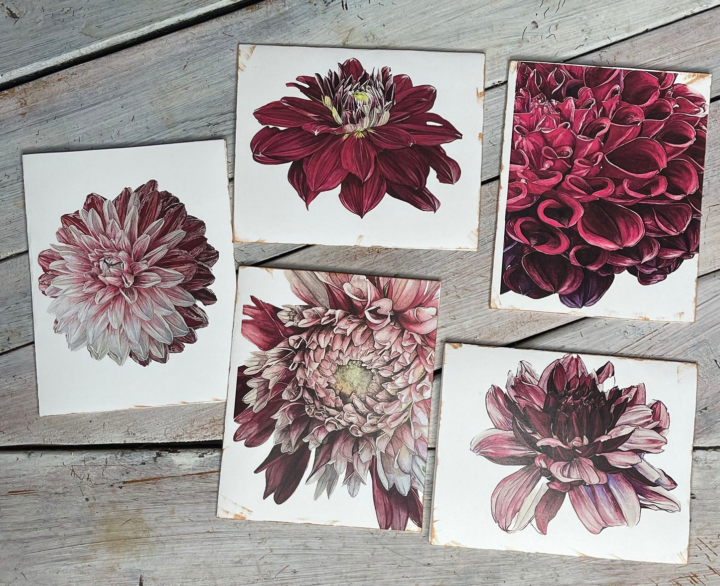Botanical Watercolor Notecards set #4 "DANCING MIDNIGHT" dahlias