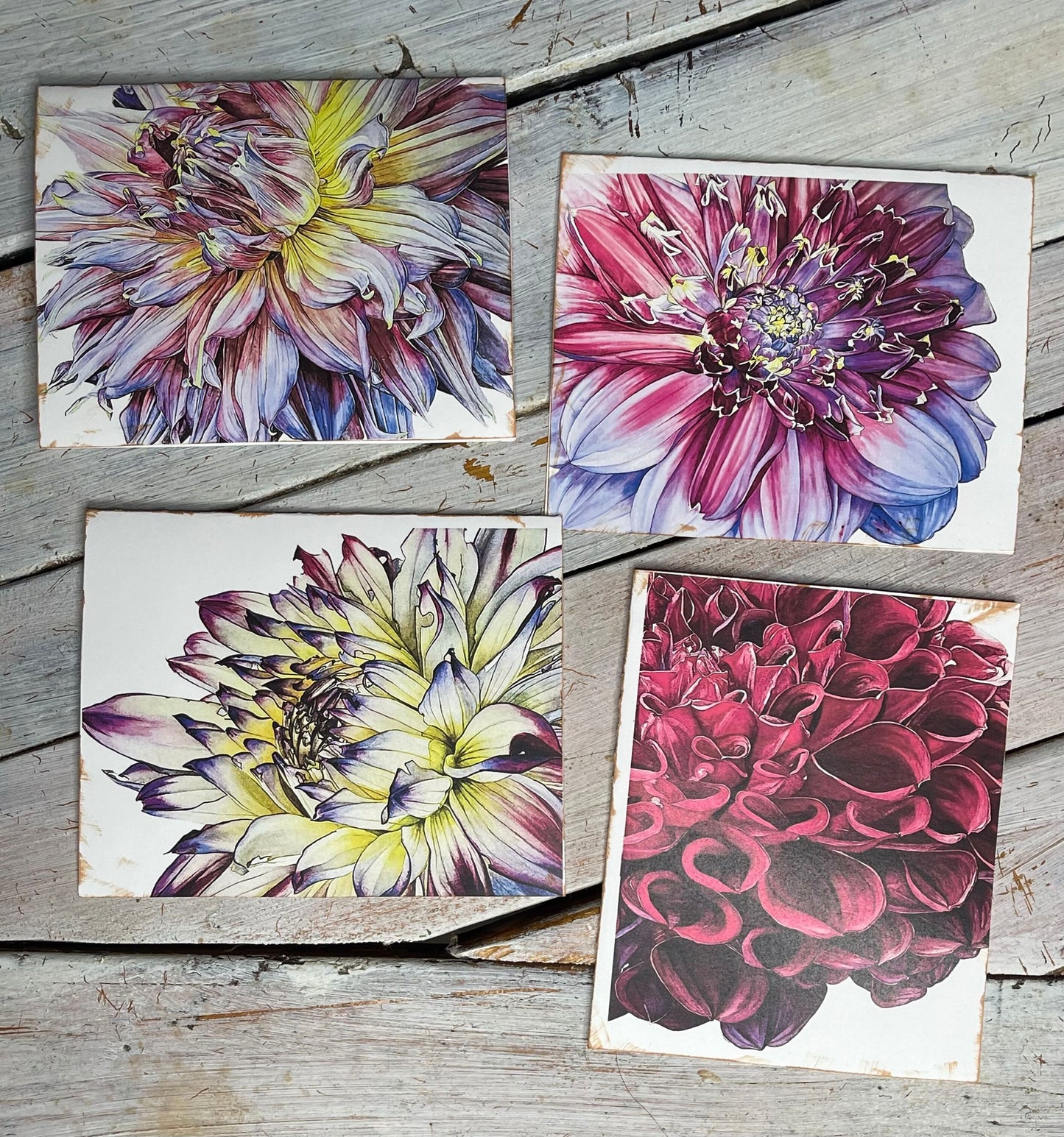 Botanical  Watercolor Notecards Set #3 "FIREWORKS" dahlias