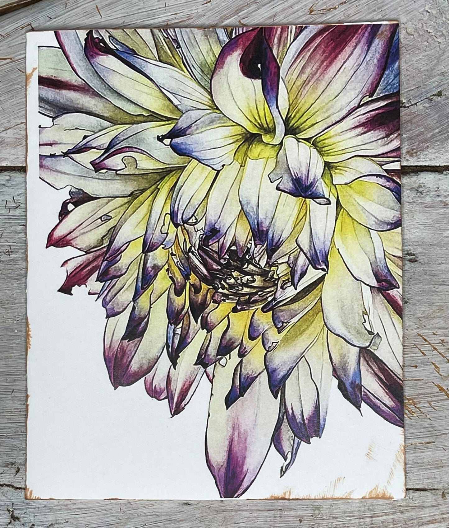 Botanical Notecard Set #5 "GROOVY BLUES"