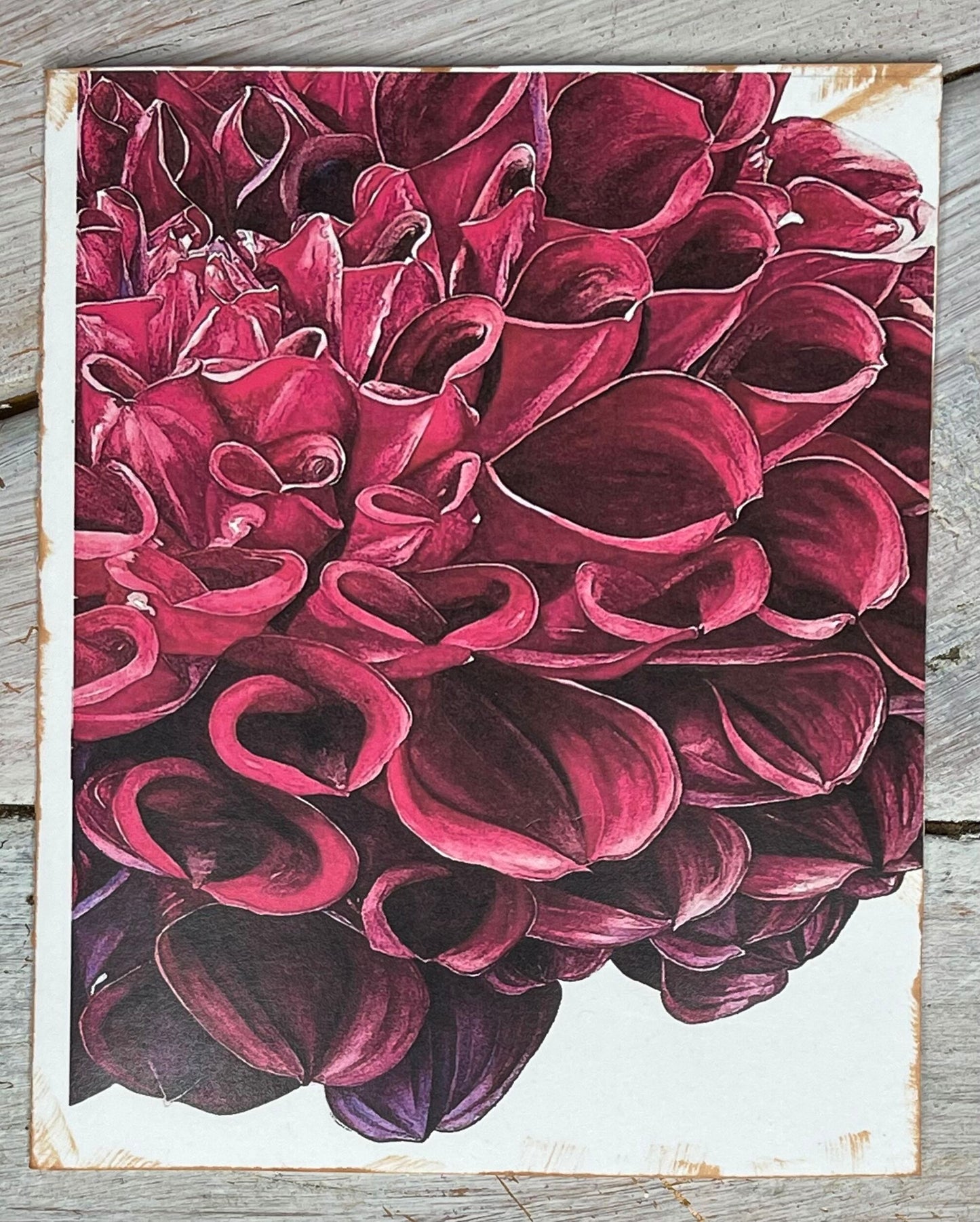 Botanical  Watercolor Notecards Set #3 "FIREWORKS" dahlias
