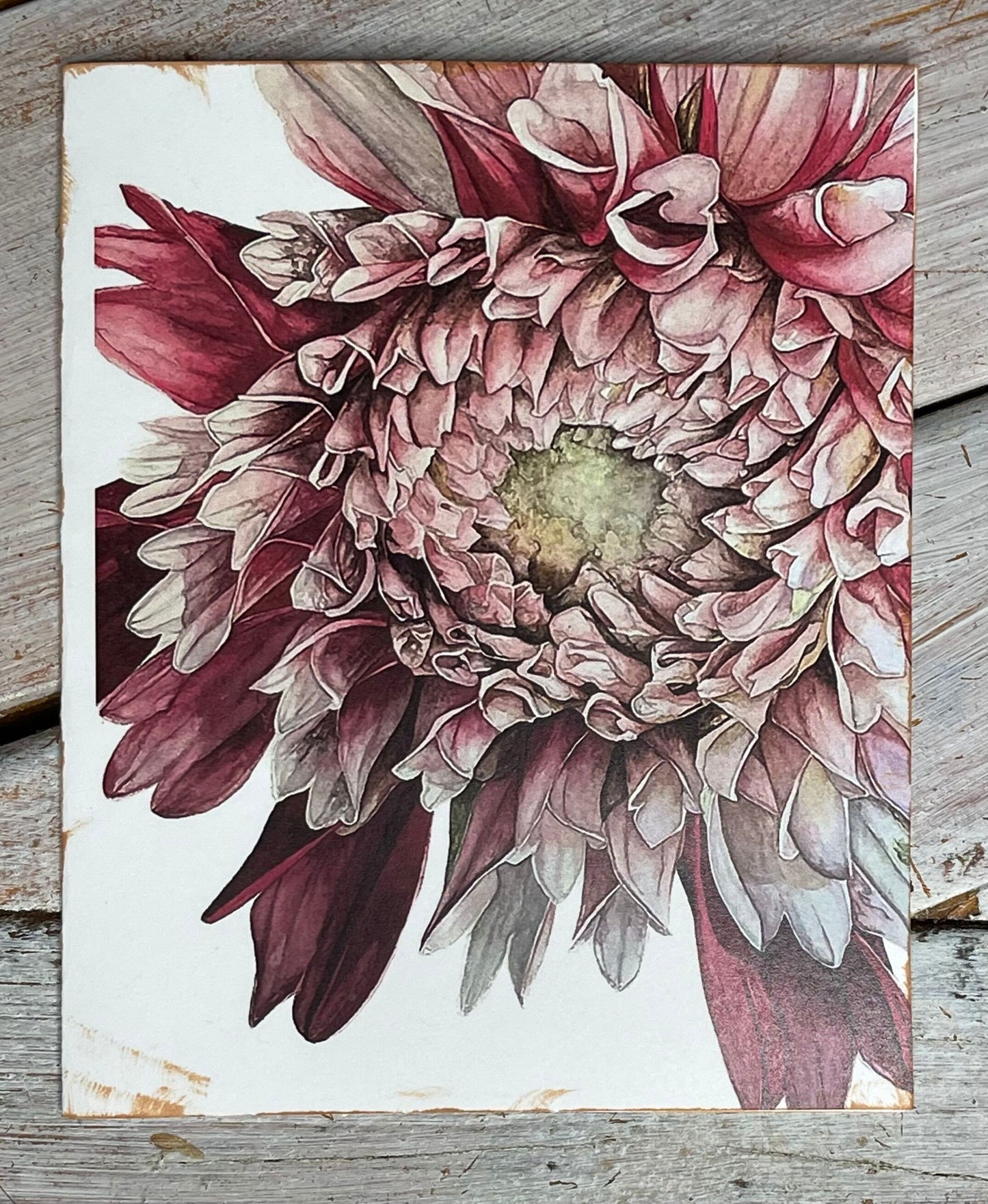 Botanical Watercolor Notecards set #4 "DANCING MIDNIGHT" dahlias