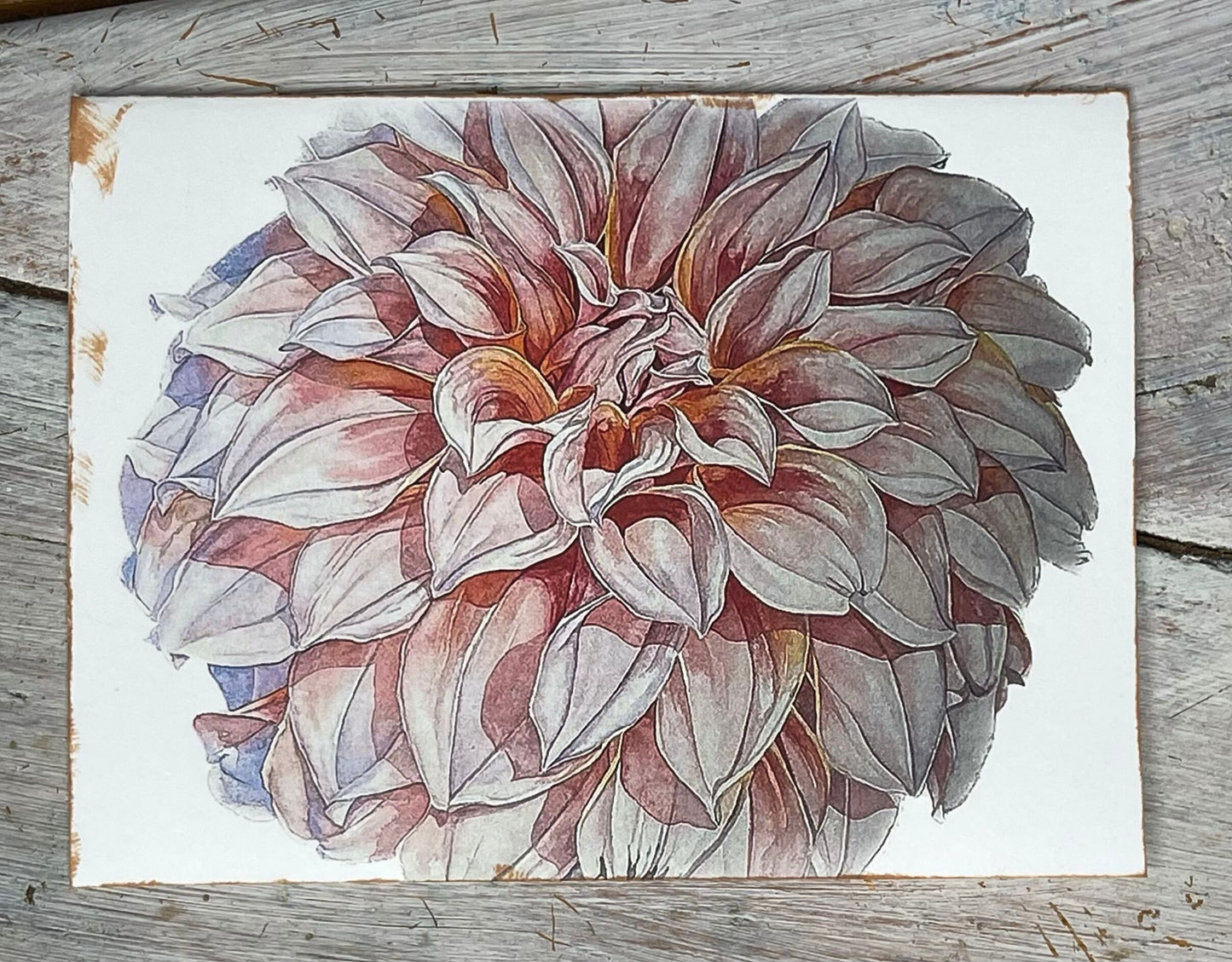 Botanical Watercolor Notecard Set #2 "CANTALOUPE" DAHLIAS