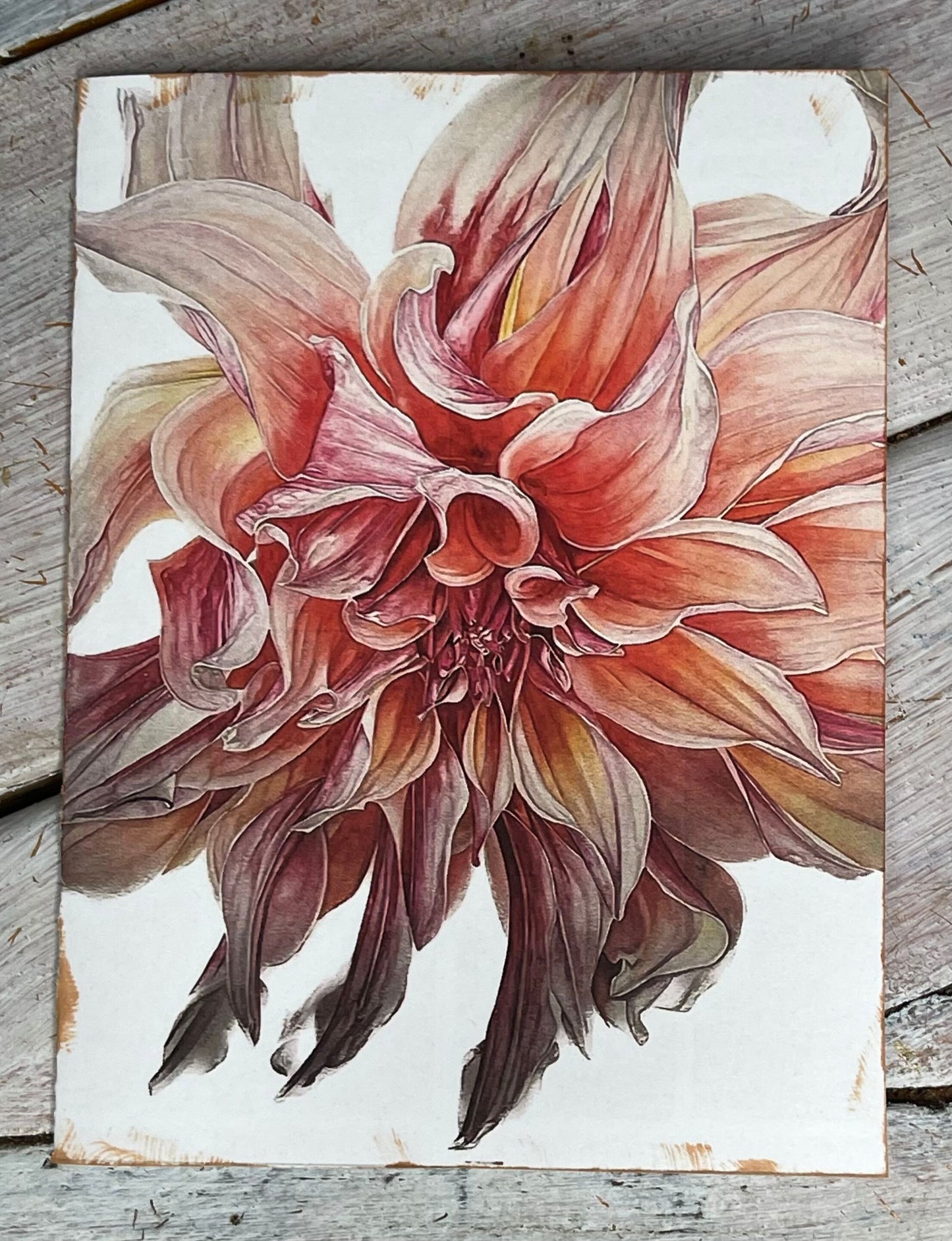 Botanical Watercolor Notecard Set #2 "CANTALOUPE" DAHLIAS