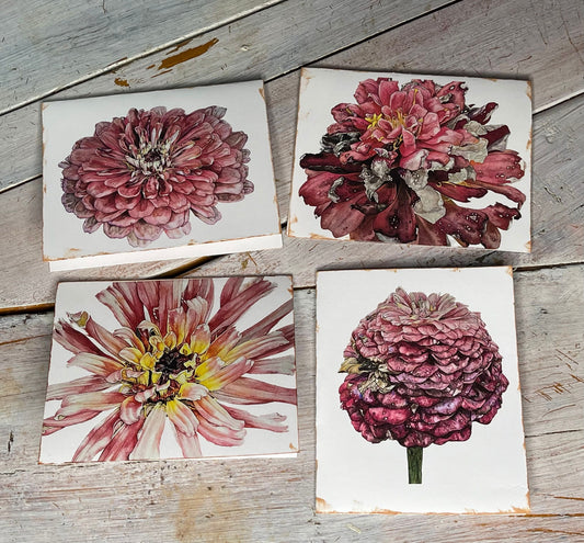 Botanical Watercolor Note Card Set "REMEMBRANCE AND AFFECTION" Zinnas