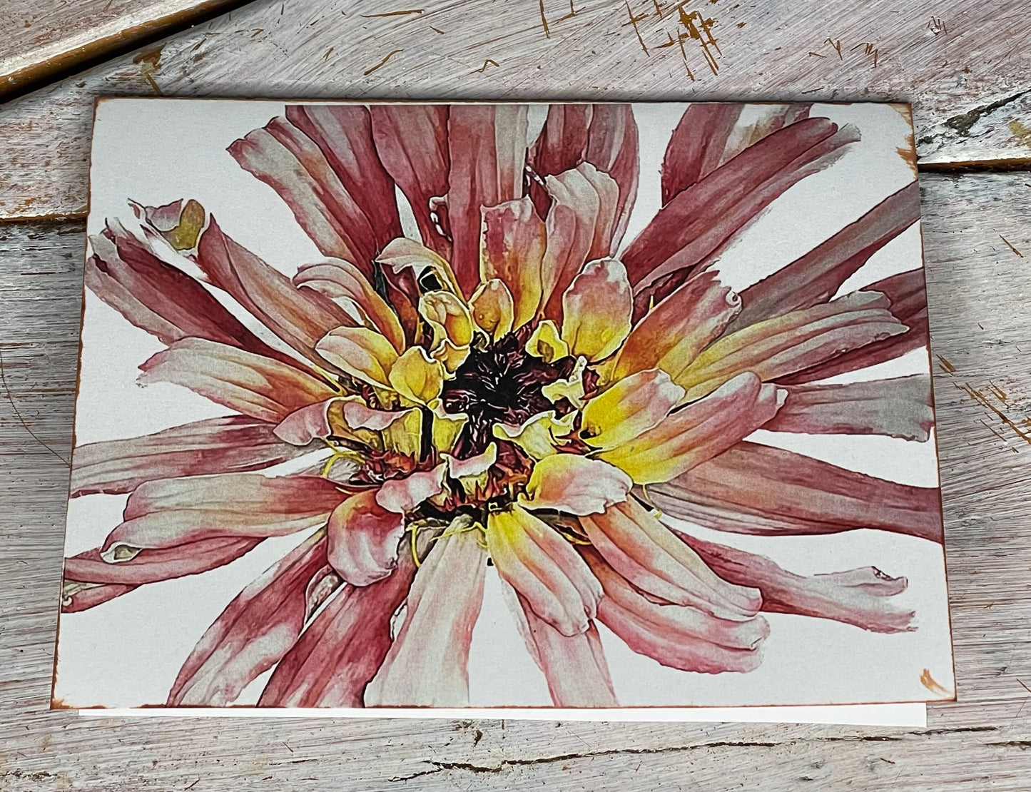 Botanical Watercolor Note Card Set "REMEMBRANCE AND AFFECTION" Zinnas