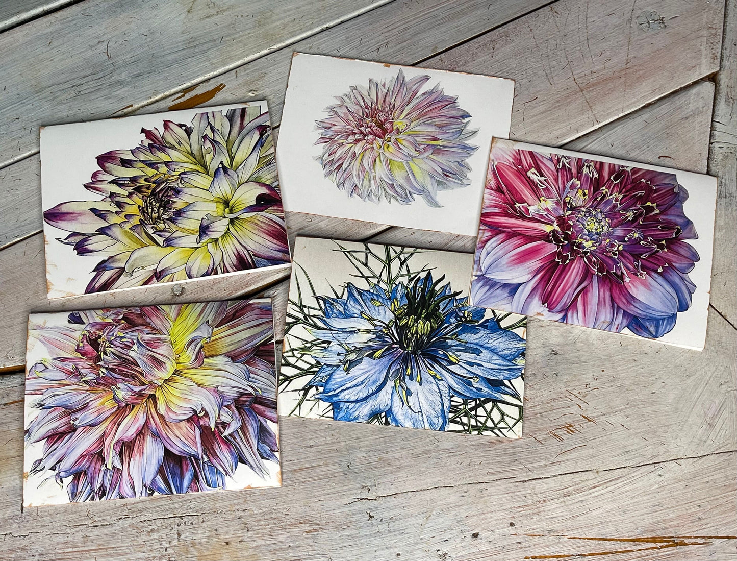 Botanical Notecard Set #5 "GROOVY BLUES"